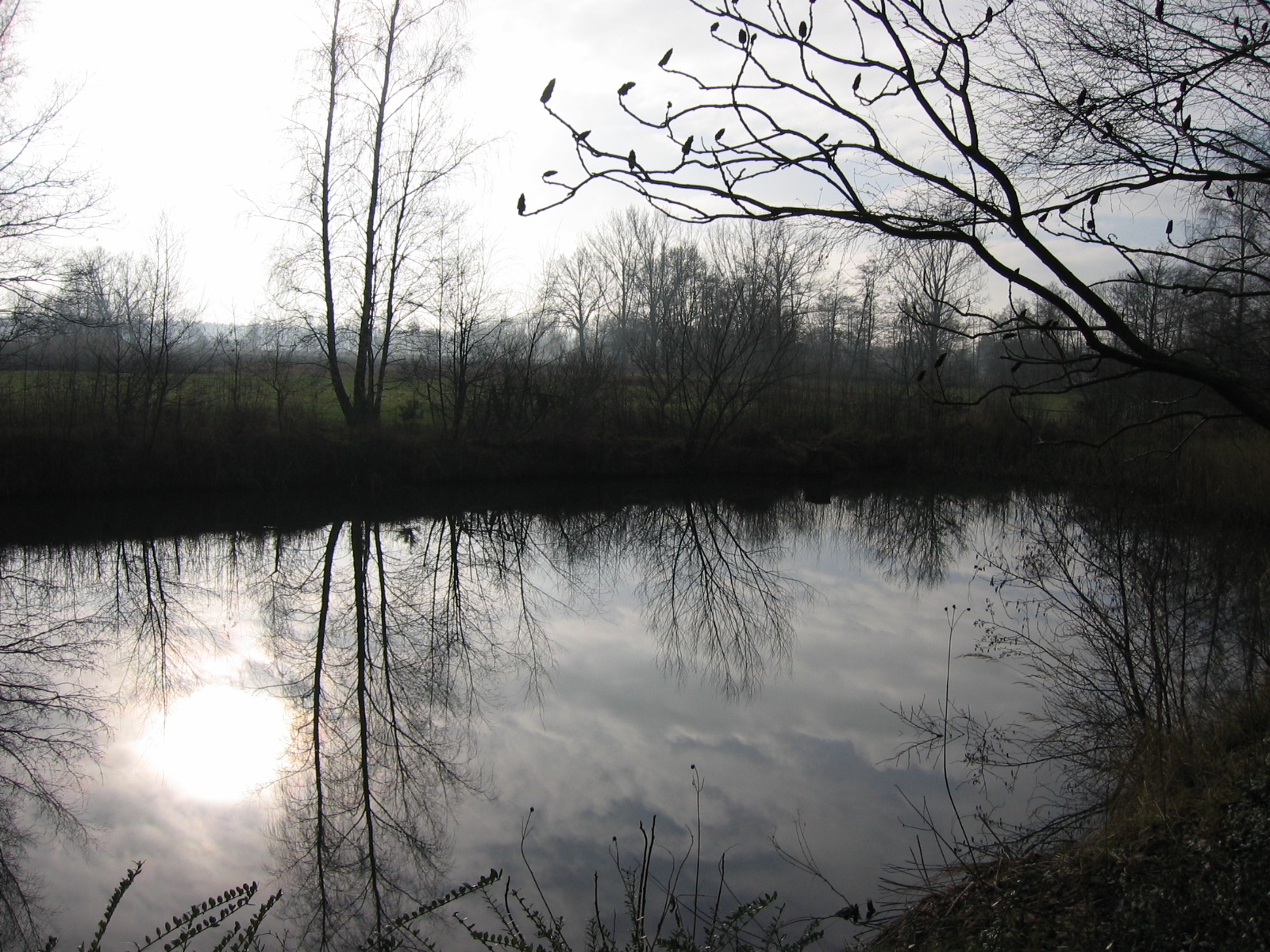 Teich